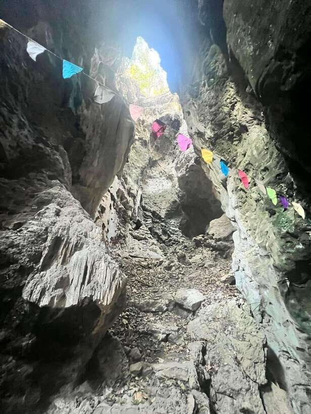 Half-day swing bridge, bamboo train, batcave & Killing cave - Bat Cave at dusk: wrinkle-leaf bats in motion