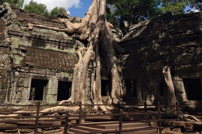Half-Day Ta Prohm and Banteay Kdei Tour - Ta Prohm: where the jungle grabs the stones