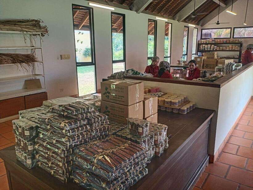 Half Day Trip: Silk Farm, Satcha, and Senteur d'Angkor Tour - Key things I’d plan for on this Silk Farm and handicrafts half-day