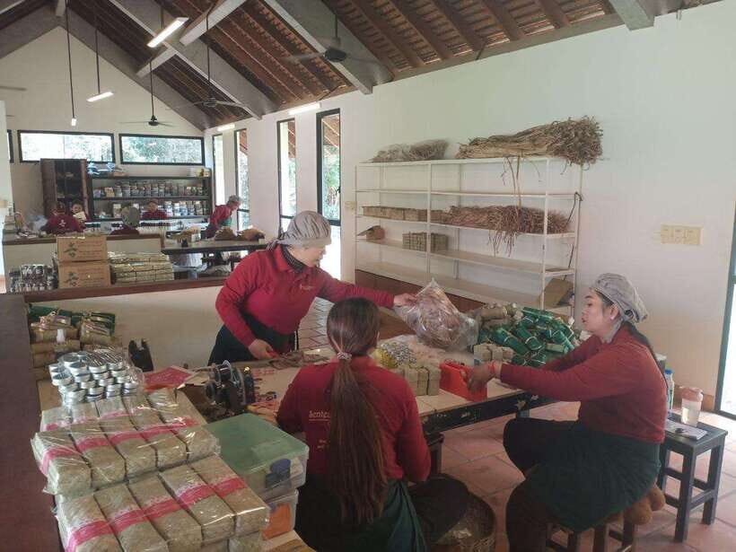 Half Day Trip: Silk Farm, Satcha, and Senteur d'Angkor Tour - Price and value: is $25 per group up to 2 a fair deal?