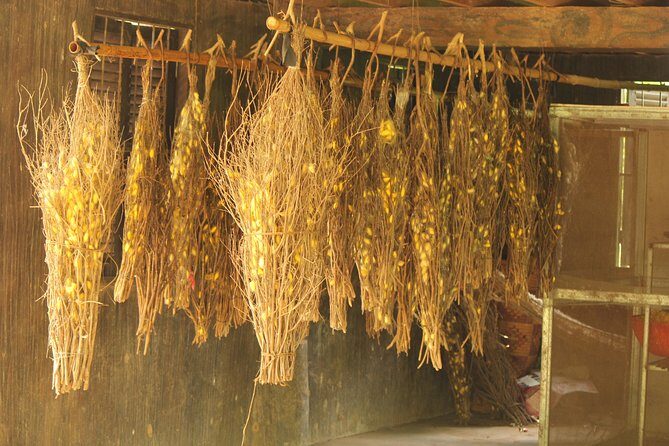 Island Community Life in Phnom Penh - How Long It Feels: A Compact 4-Hour Private Day