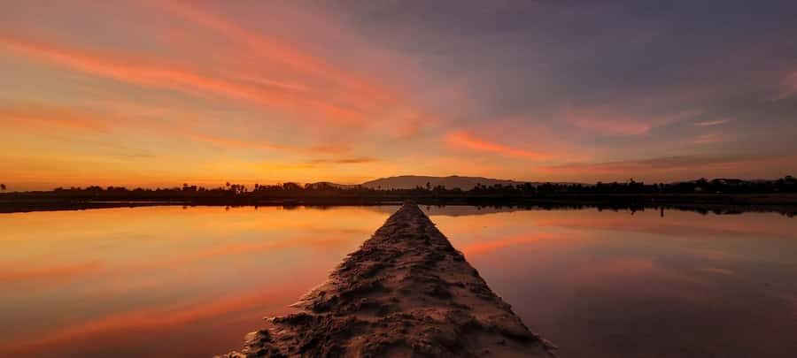 Kampot Countryside include Pepper farm, Salt field & Lake - La Plantation Pepper Farm: the fun part you’ll actually remember
