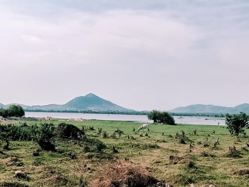 Kampot Countryside include Pepper farm, Salt field & Lake - Who This Tour Fits Best (and who should skip)