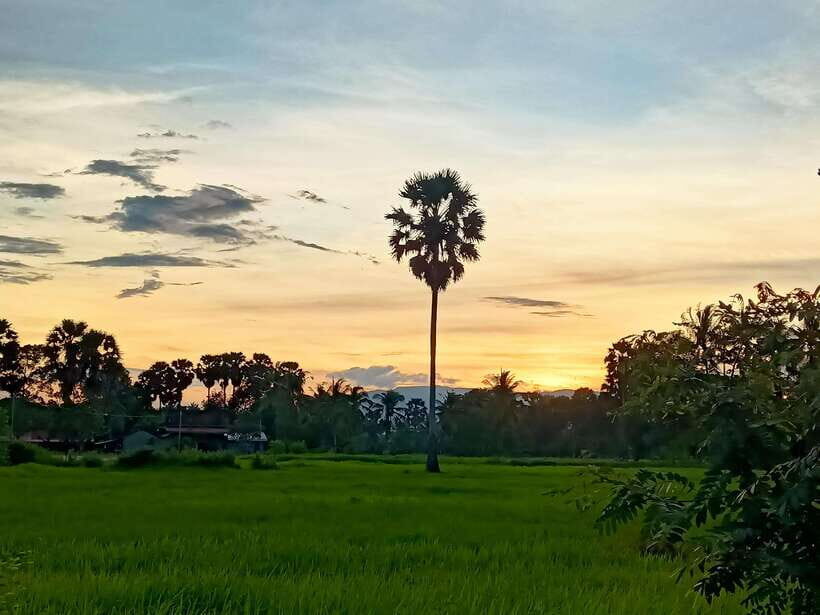 Kampot Countryside include Pepper farm,Kep crab market beach - A full day of Kampot countryside by tuk tuk