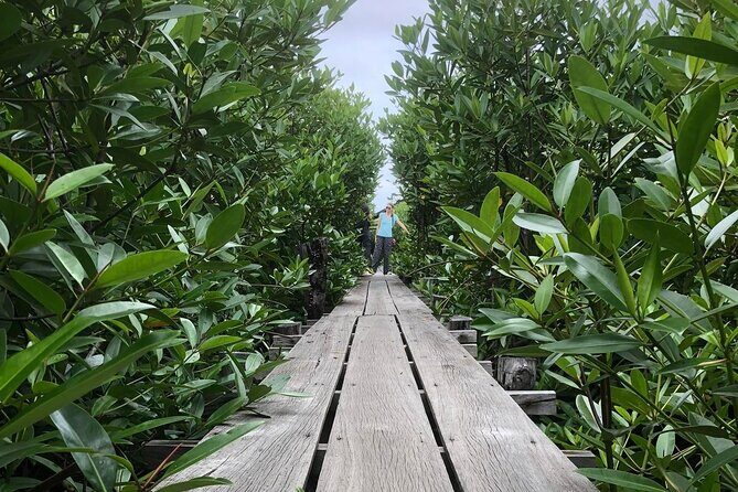 Kampot Countryside Tour - Pepper Farm, Salt Lake, Caves, and more - Kampot countryside with a small-group rhythm