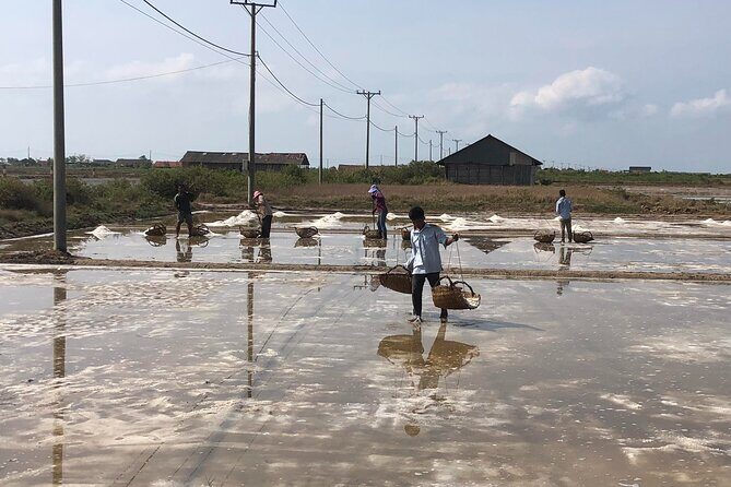 Kampot Countryside Tour - Pepper Farm, Salt Lake, Caves, and more - Phnom Chhngok Cave temple: cool stone, stairs, and the temple-in-a-cave vibe