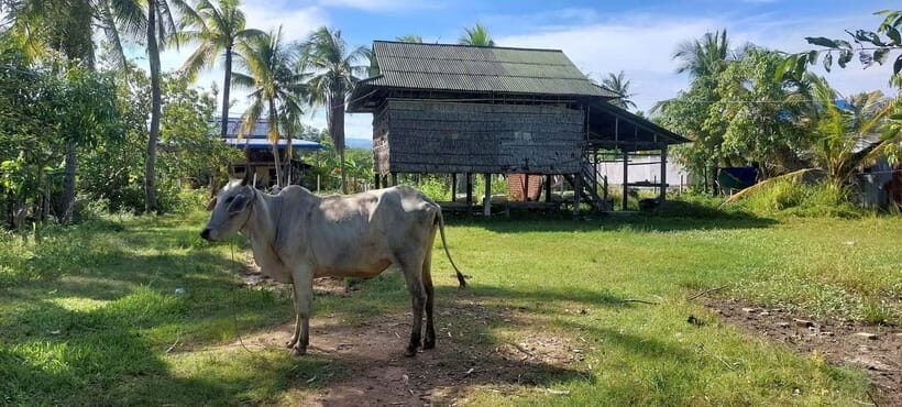 Kampot: Cultural Bike Experience - Local Life & Countryside - The ride details: 6.5 hours, about 15 km, and all the comfort matters