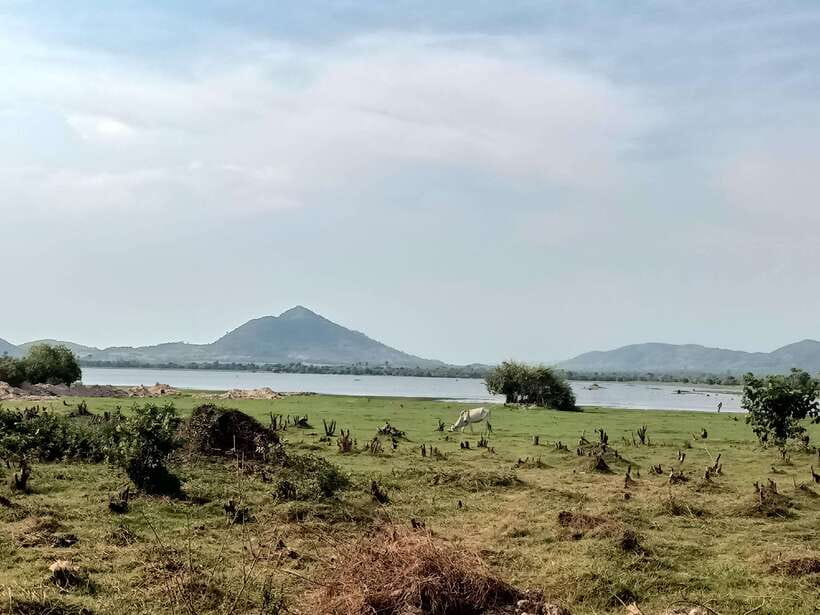 Kampot: Full-day Countryside Tour with Pepper Farm and Kep - Kep: crab market energy, seafood options, and a beach reset