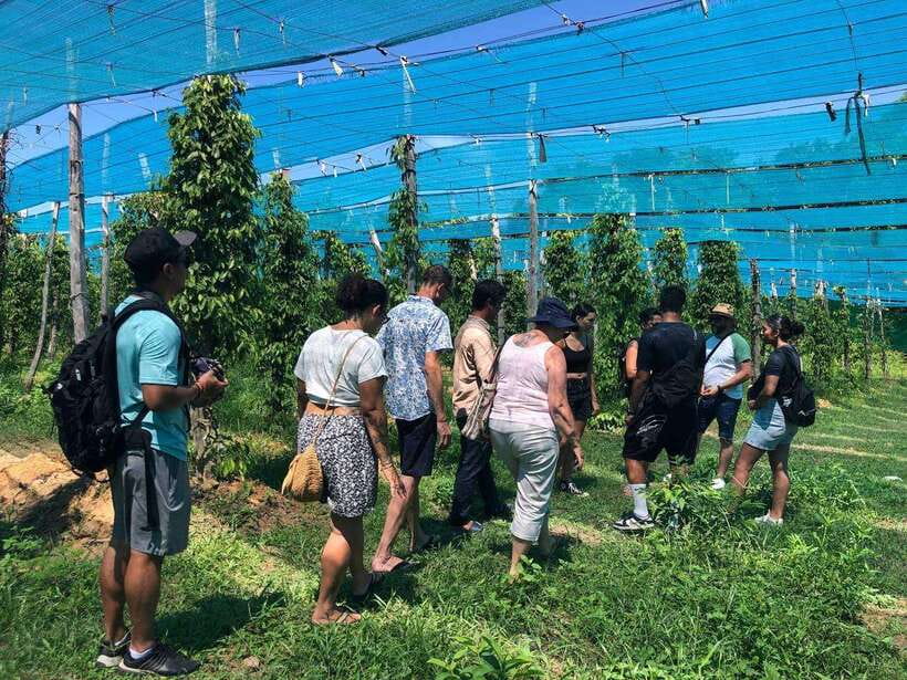 Kampot Pepper Farm, Salt Fields, Crab Market from Phnom Penh - Kampot Town: colonial architecture, river views, and the right kind of walking