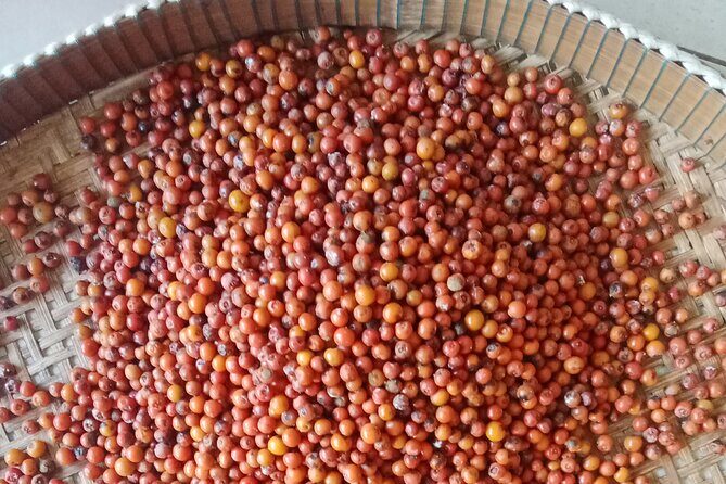 KAMPOT- Pepper farm ..salt fields.Kep/Crab market & more........ - La Plantation pepper farm: tasting Kampot pepper like a local