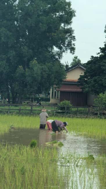 Kampot Pepper & Kep/Crab Market Tours: Salt, Secret lake - Visitor Center Food Stop: BBQ Options and Local Snacks