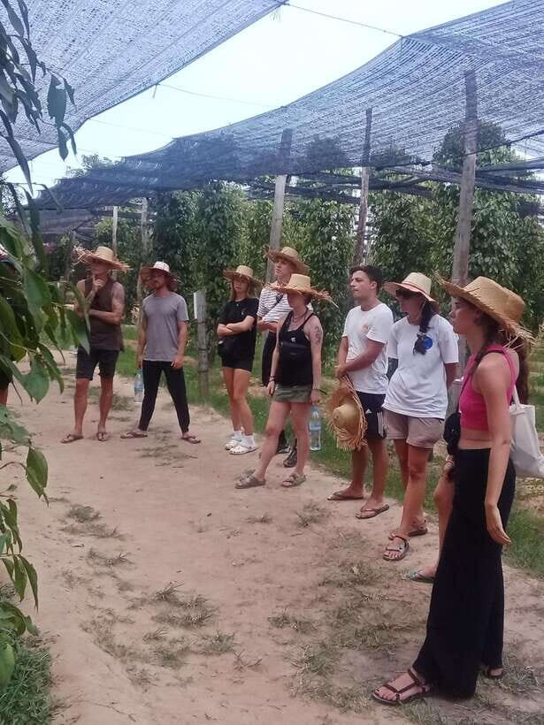 Kampot: Tuk Tuk Trip to Pepper Farm, Kep, Crab Market & More - Phnom Chhngok Cave: Temple Quiet, Cave Steps, and Good Photo Angles