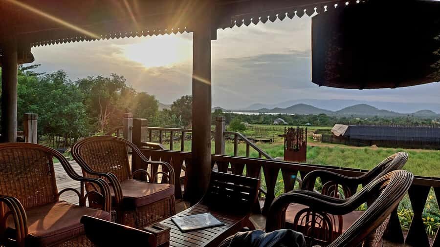 Kampot's Countryside & Kayak Tour, Pepper Farm include Lunch - Pepper Farm Tour: How Kampot’s Famous Pepper Actually Grows