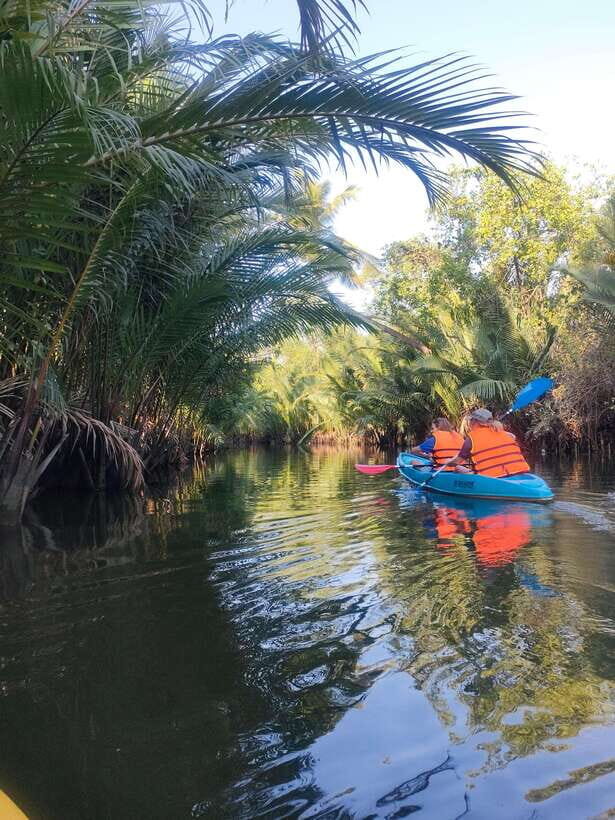 Kayaking tour around green cathedral - Swim and chill: Cooling off without turning the trip into a beach day