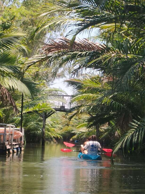 Kayaking tour around green cathedral - Transport, guidance, and the small-group advantage (and why it shows)