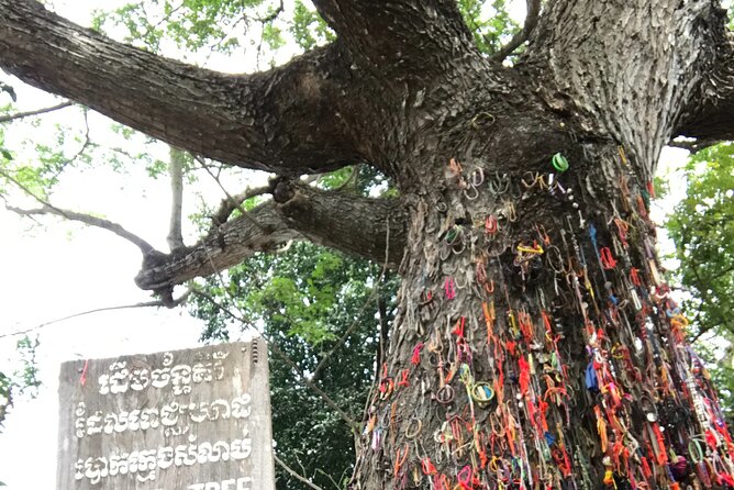 Khmer Rouge, genocide museum &killing field tour - Your guide and driver: smooth logistics make space for the story