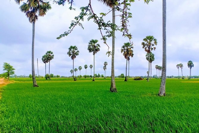 Killing Field & Paddy Rice Fields Tuk Tuk Adventure - From 7:30 am in Phnom Penh to real countryside air