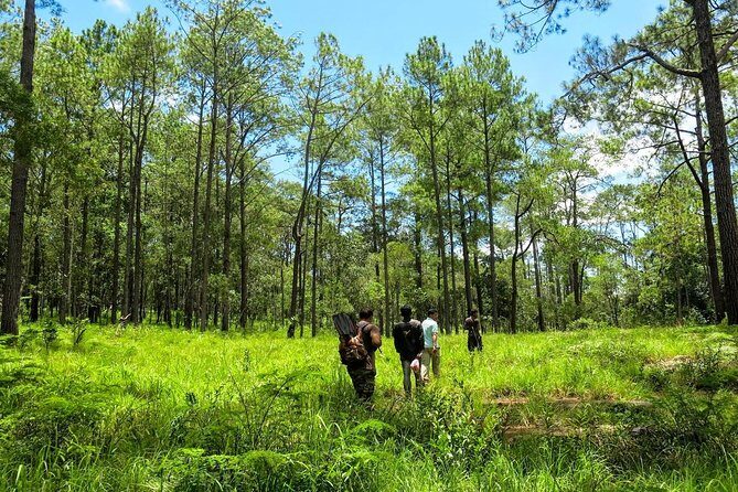 Kirirom National Park Private Day Tour from Phnom Penh - 7:30 am start, private car, and how the day moves
