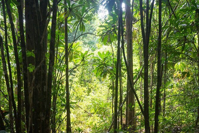 Kirirom National Park Private Day Tour from Phnom Penh - Kirirom National Park drives, pine forests, lakes, and viewpoints