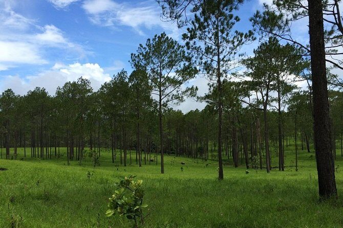 Kirirom National Park Private Day Tour from Phnom Penh - Price and value: what $127 includes (and what you still pay for)