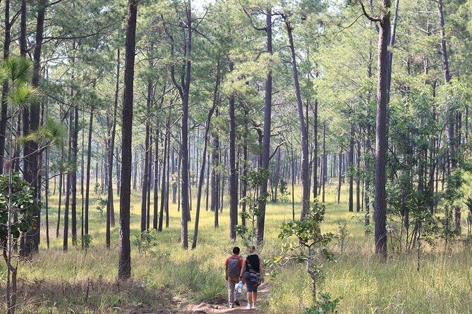 Kirirom National Park Private Day Tour from Phnom Penh - What you should bring for a smooth waterfall-and-park day