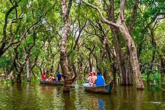 Kompong Phluk Floating village & Mangrove forest cruise - The mangrove cruise: canoe time in wet season (and the Feb–July tradeoff)
