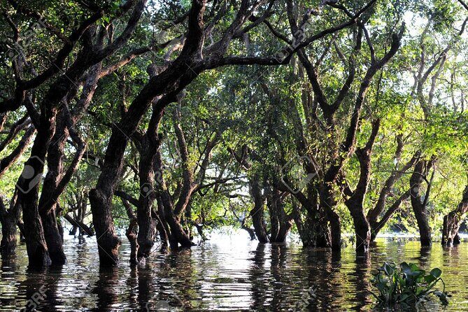 Kompong Phluk Village Tonle Sap Lake Half-Day Tour From Siem Reap - The river to the lake proper: what the half-day routing feels like