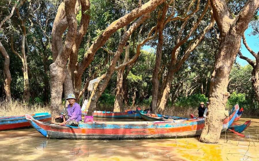 Kompong Pluk Tour - Optional Rowing Through the Flooded Forest (Oct to Jan)