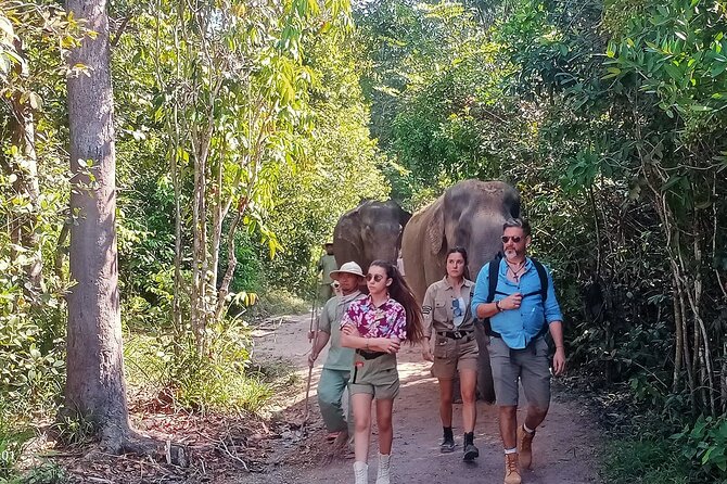 Kulen Elephant Forest and Tonle Sap Lake by Private Tour - Key highlights you’ll care about
