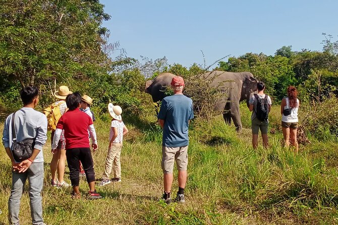 Kulen Elephant Forest and Tonle Sap Lake by Private Tour - Why this one-day combo trip works