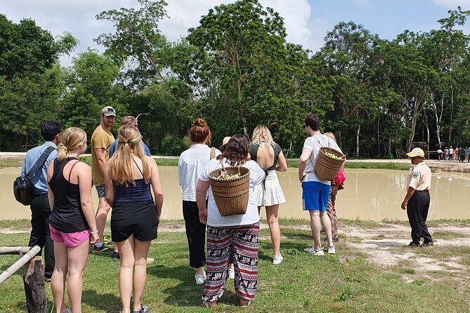 Kulen Elephant Forest & Kampong Phluk by Private Tour - Practical Tips That Make This Day Easier