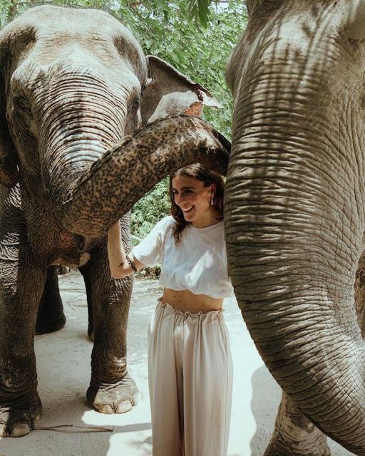 Kulen Elephant Forest Siem Reap in Small Group - The 2km observation trek: walking with elephants through the forest