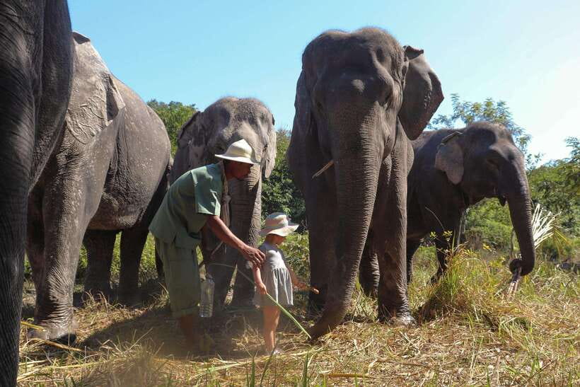 Kulen Elephant Forest Siem Reap in Small Group - Enrichment and pond play: seeing natural behavior (and why it matters)