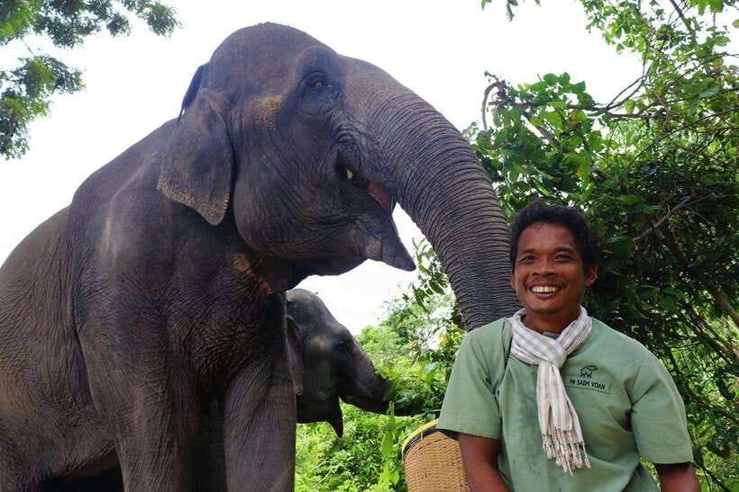 Kulen Elephant Forest Siem Reap in Small Group - Hand-making healthy snacks: the meet-and-greet that feels intentional