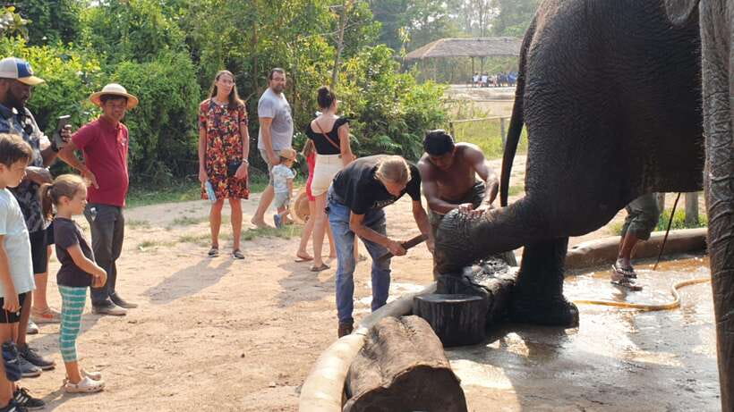 Kulen Elephant Forest & Tonlesap Lake - Who this tour suits best (and who should choose something else)