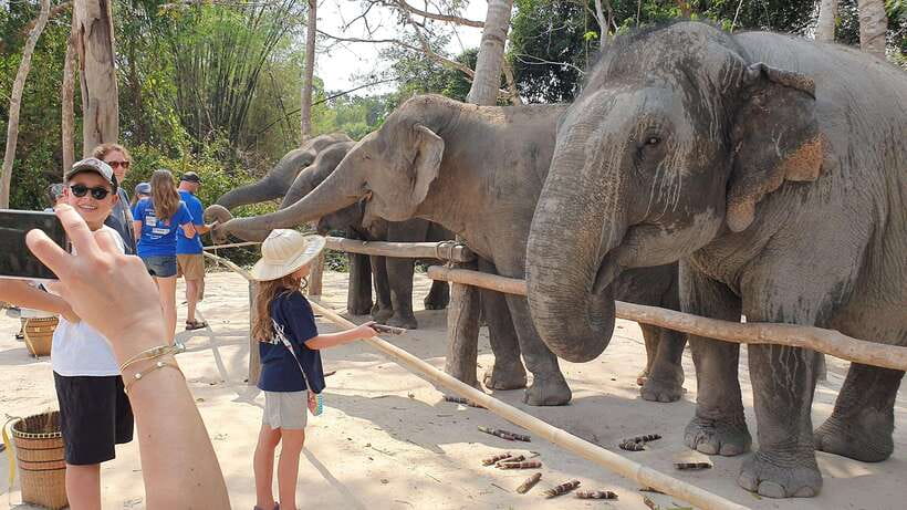 Kulen Elephant Forest & Tonlesap Lake - Why Kulen Elephant Forest and Tonle Sap feel like the perfect one-day combo