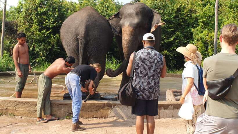 Kulen Elephant Forest & Tonlesap Lake - Kulen Elephant Forest: walking with elephants and finding waterfalls on the trek