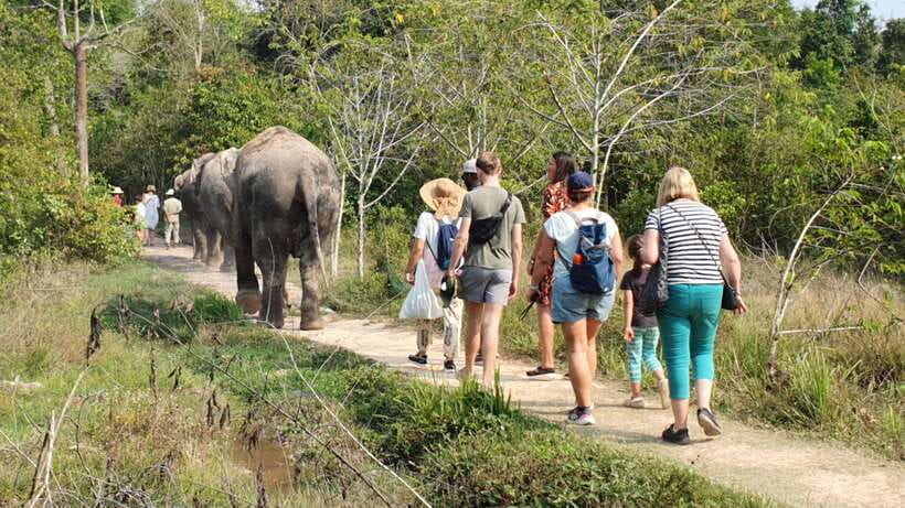 Kulen Elephant Forest & Tonlesap Lake - Guides, English explanations, and why it changes what you see