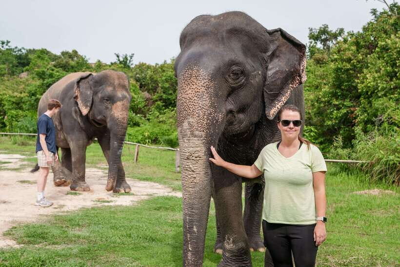 Kulen Elephant Forest Tour with Hotel Pick-up & Drop off - Making elephant snacks and feeding with care