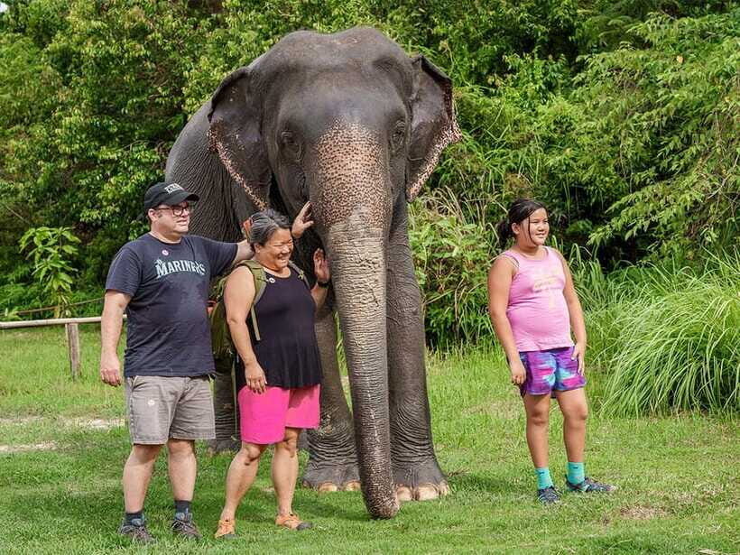 Kulen Elephant Forest Tour with Hotel Pick-up & Drop off - Lunch (morning) or snack (afternoon): a real rest break