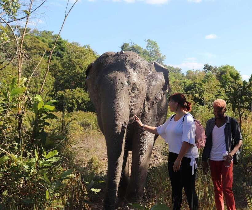 Kulen Mountain Day Trip with Picnic & Kulen Elephant Forest - Phnom Kulen National Park: the waterfall stars and the reclining Buddha stop