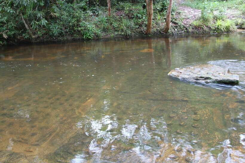 Kulen Mountain: Full-Day Private Waterfall Tour - Price and value: what $175 per group really covers
