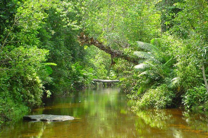 Kulen Waterfall and 1000 Lingas River Private Tour - Price and value: is $76 per person fair for this private day?