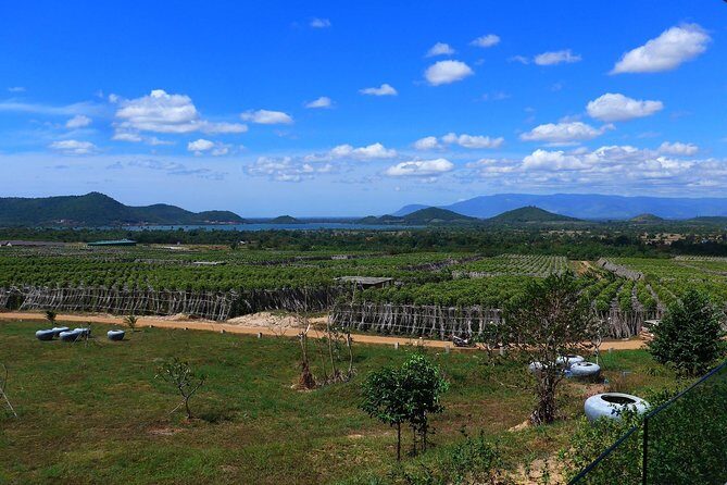 La Plantation tour (discovering Kampot Pepper) + Lunch - The Guided Farm Walk: More Than Just a Pepper Plant