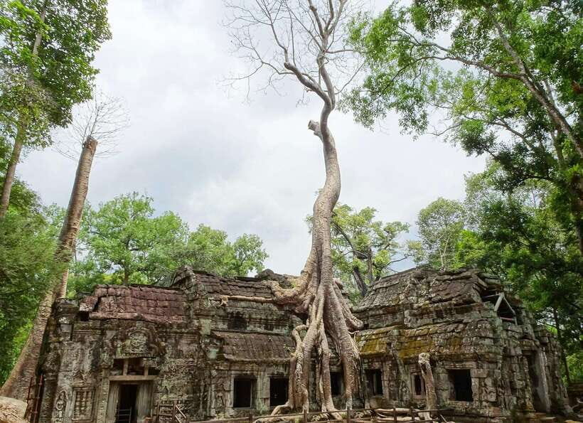 Luxury Private 2-Day Angkor Wat with English or German Guide - The 1-day sunrise option when you want maximum wow with fewer ticket days