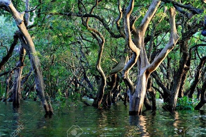 Mechrey Floating Village Tour & Mangrove from Siem Reap - Tonlé Sap lake cruise: why this water matters