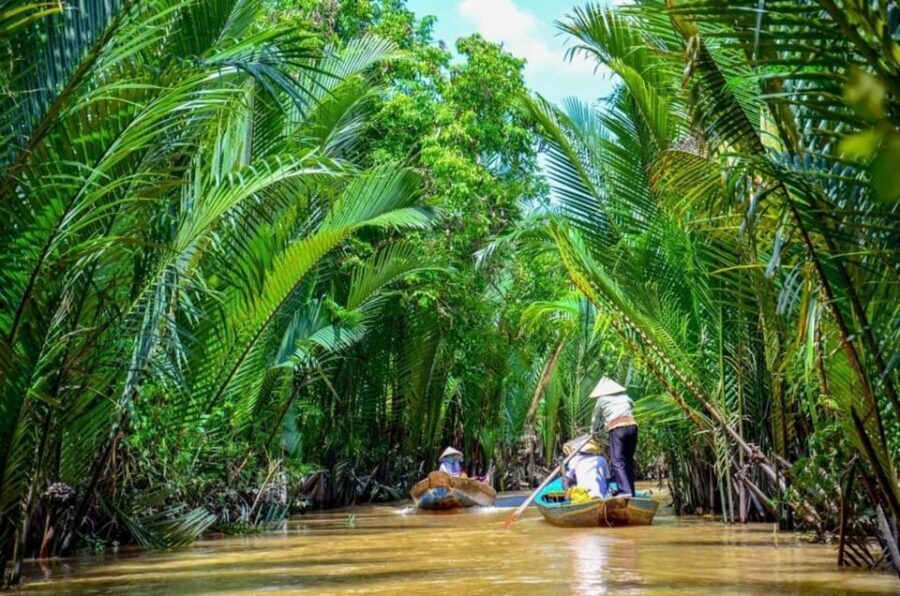 Mekong Delta Full Day Tour | From Ho Chi Minh, Vietnam - Price and logistics: what $52 buys (and why it can be a smart move)