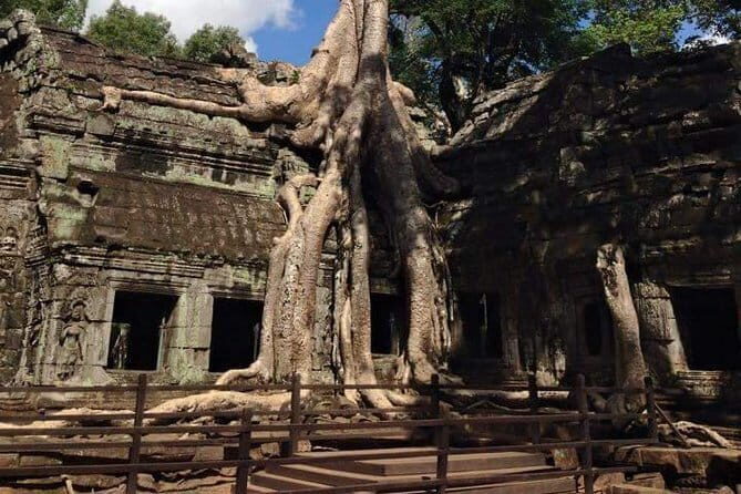 Night Street Tour in Siem Reap - Guides, tuk-tuk rides, and making it feel smooth
