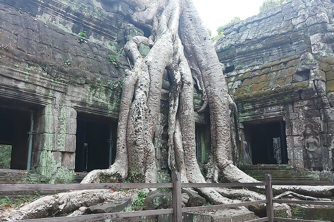 One day Angkor temple tour with private driver - Angkor Wat in the Morning: Most-Preserved, Best First Look