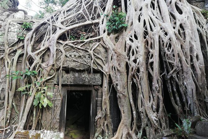 One Day Angkor World Heritage Tour - Getting there in comfort: AC, cool towels, and real English help